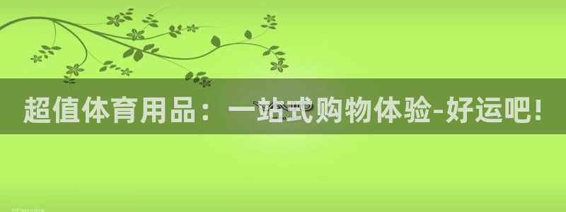 尊龙现金娱乐 下载：超值体育用品：一站式购物体验-好