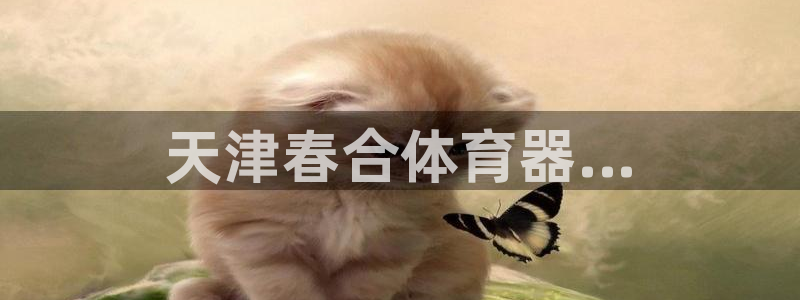 尊龙人生就是博一下首页：天津春合体育器...