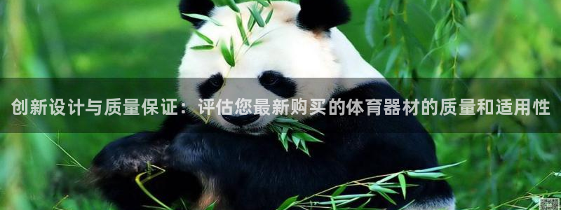 尊龙官方：创新设计与质量保证：评估您最新购买的体育器